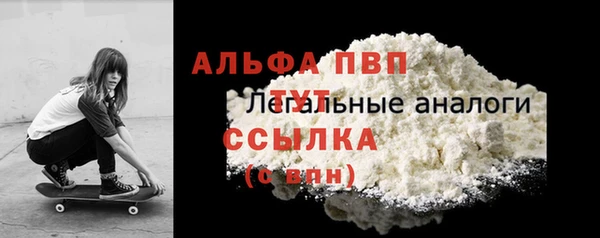 индика Осташков