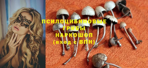 ALPHA PVP Михайловск