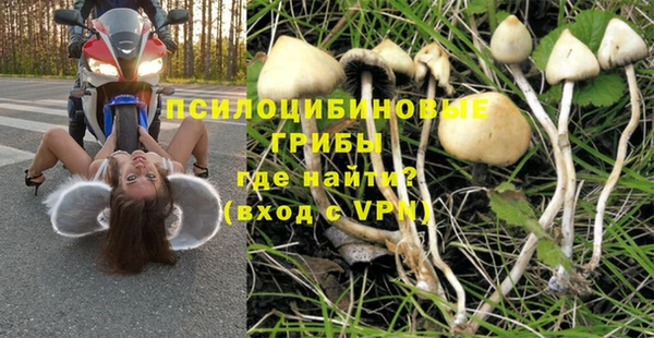 ECSTASY Медногорск