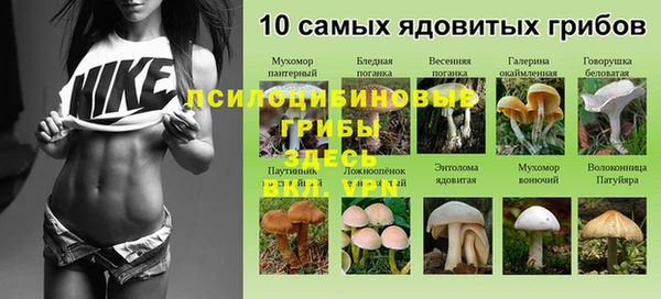 дживик Мегион
