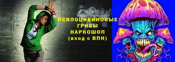 ECSTASY Медногорск