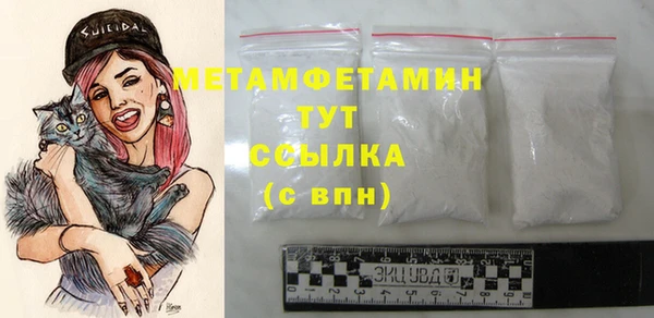дживик Мегион