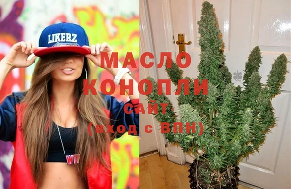 дживик Мегион